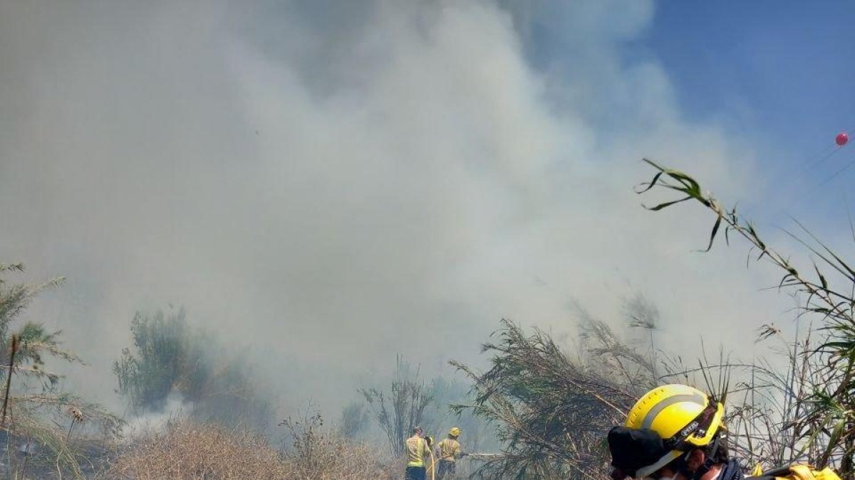 Un incendi crema vegetació de ribera a la vora del riu Francolí a les hortes del Rec Major