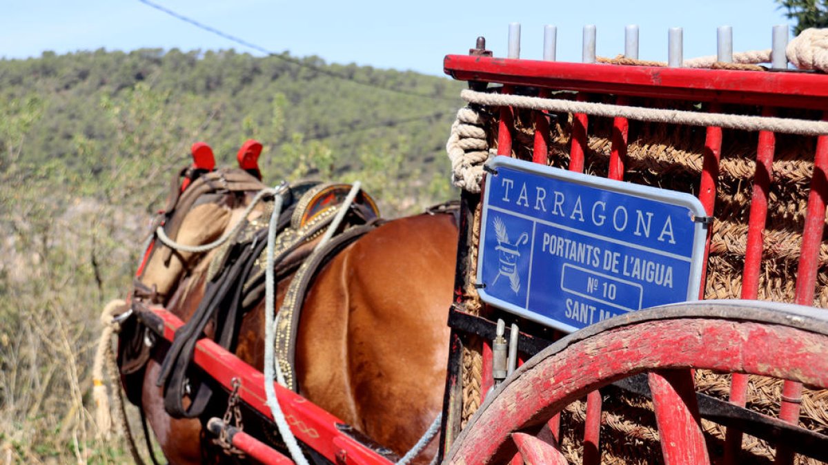 Imatge d'un carro del Portants de l'Aigua de Sant Magí.