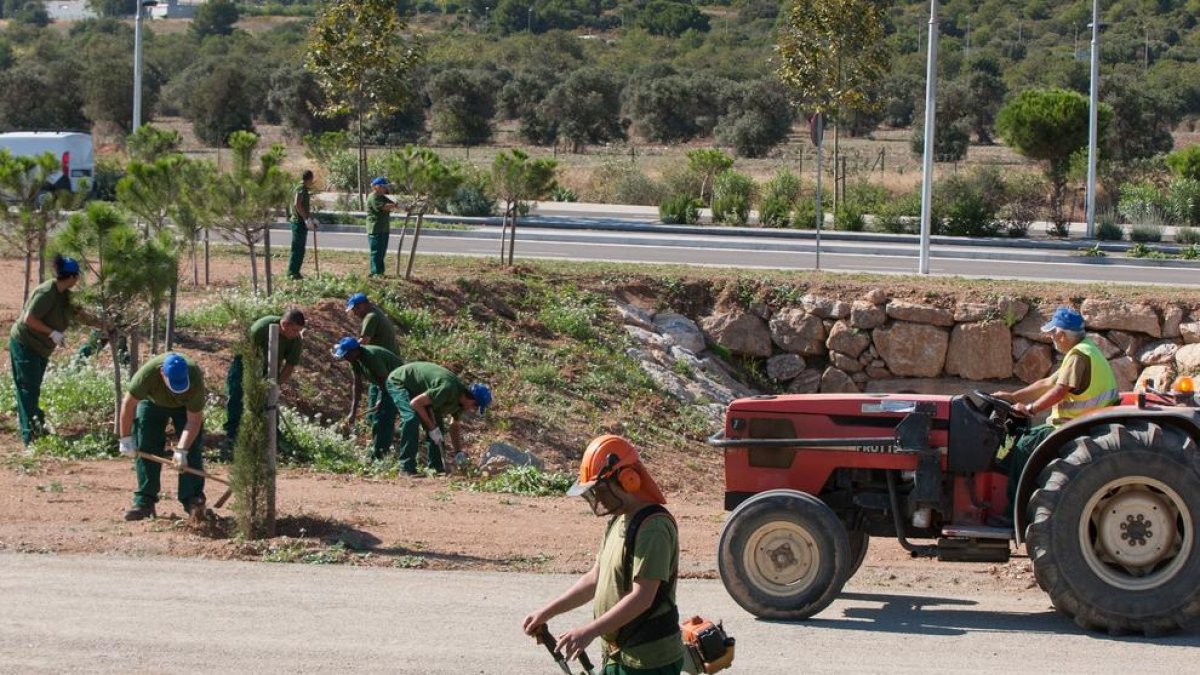 El Ayuntamiento de Vila-seca convoca 19 plazas en un nuevo Plan de Ocupación Municipal