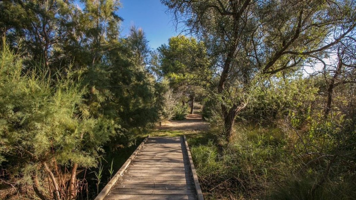 L'Ajuntament de Vila-seca convoca 19 places en un nou Pla d'Ocupació Municipal