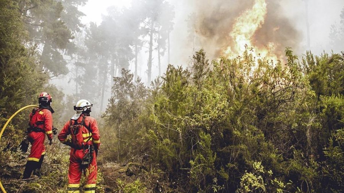 El foc a Tenerife arrasa 10.000 hectàrees i podria estabilitzar-se al punt d'origen