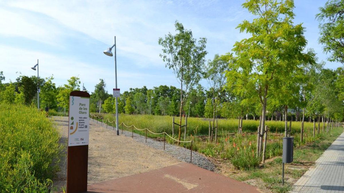 Reus licita el servei de manteniment i conservació dels espais verds de la ciutat