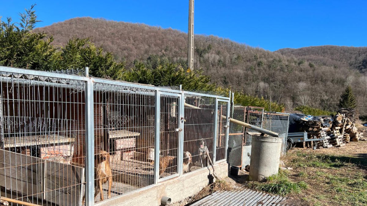 Los cazadores empiezan un paro indefinido por pedir cambios a la normativa de perreras deportivas