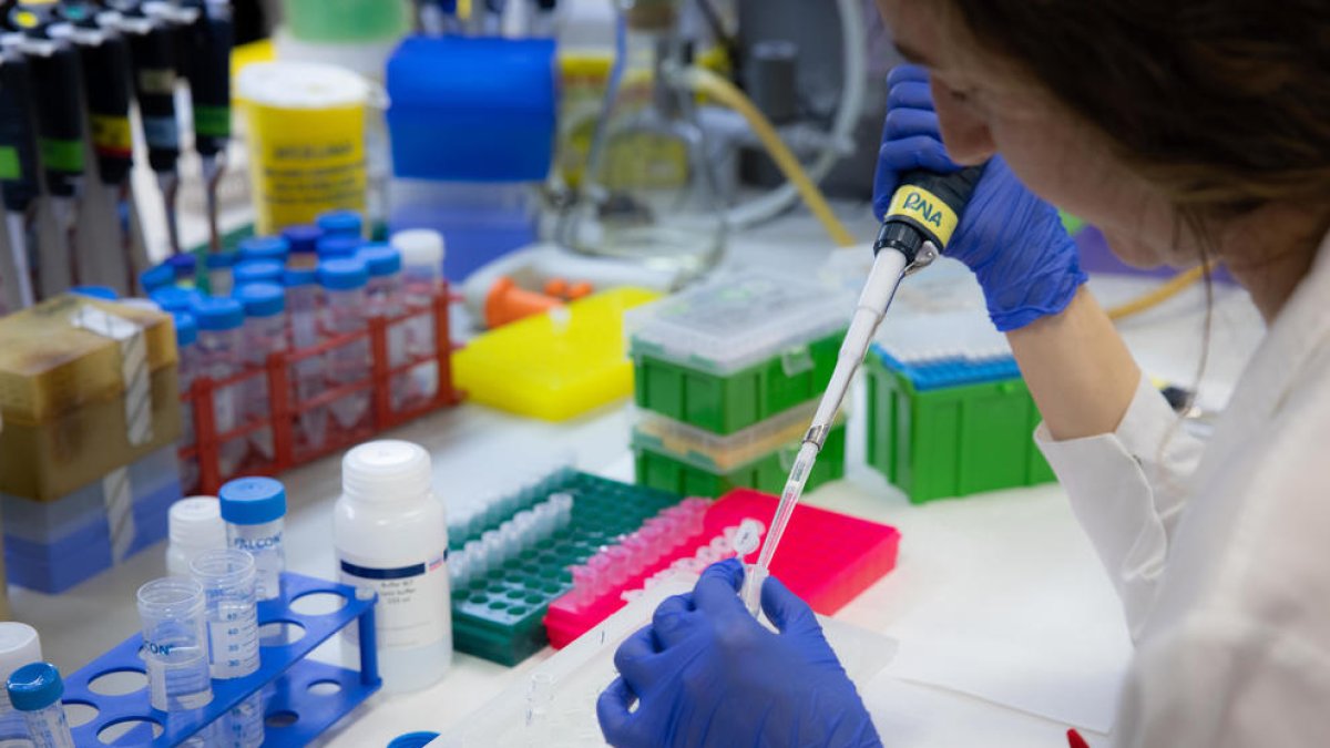 Mostren l'efectivitat d'un nou fàrmac epigenètic per tractar tumors avançats