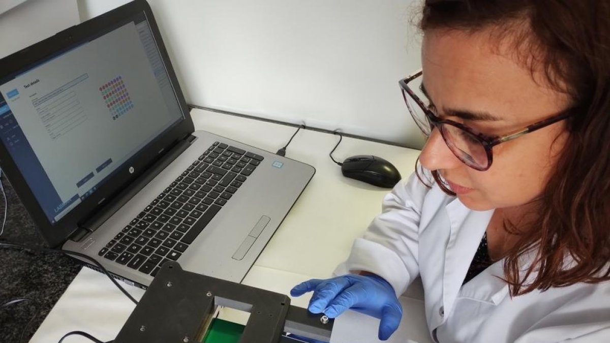 Investigadors de la URV desenvolupen un biosensor per detectar amb una gota de sang el risc de patir osteoporosi
