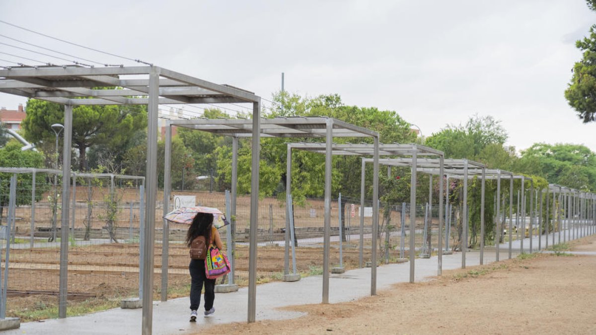 Proponen que las entidades «den vida» a la rosaleda de Mas Iglesias de Reus