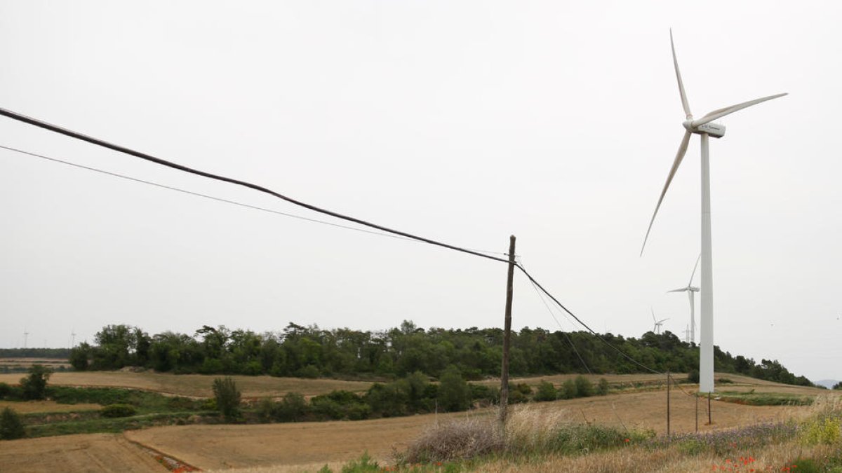 Desestimada la construcción de tres centrales eólicas en municipios de la Conca de Barberà, la Segarra y Anoia