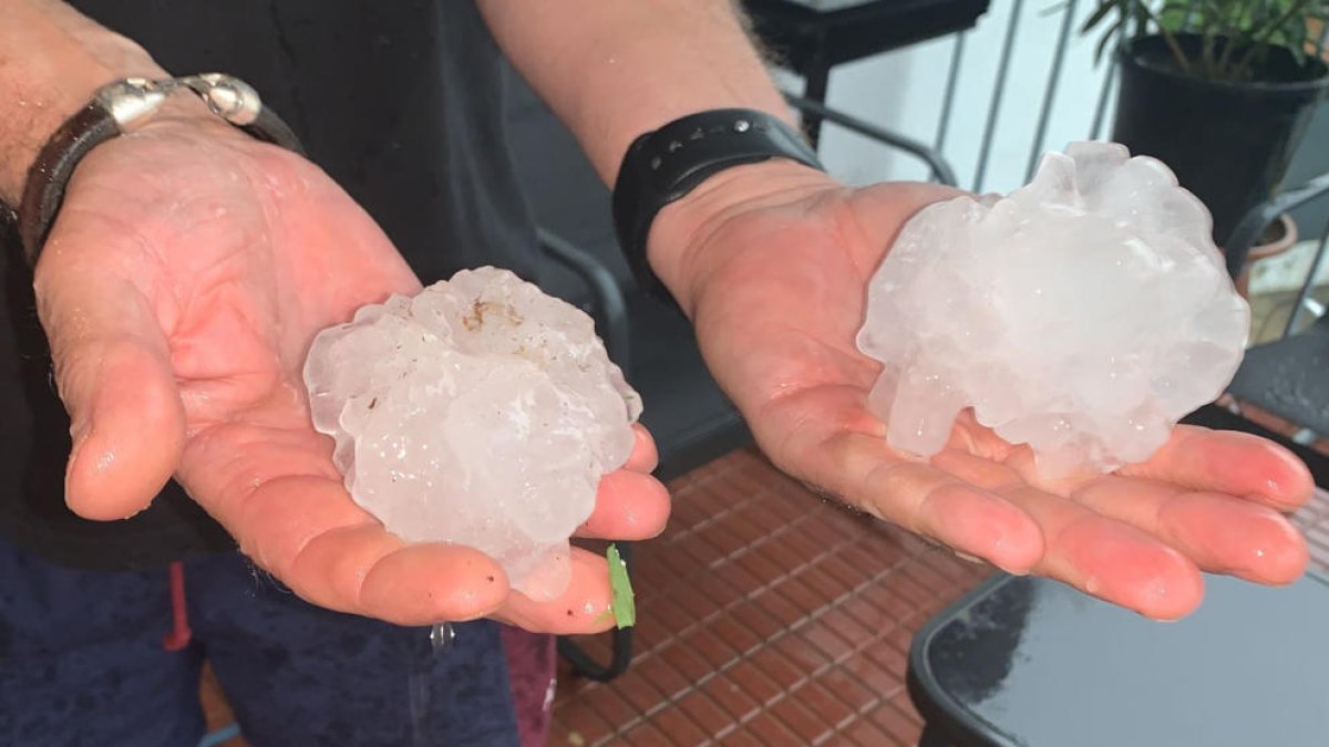 Estiman que la granizada del sábado afectó también a unas 100 hectáreas de olivo en el Montsià