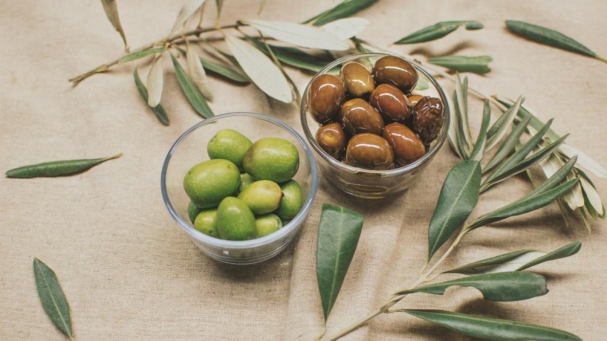 Alerta per l'entrada a Espanya d'olives procedents del Marroc amb alts nivells de pesticides