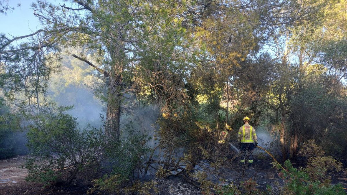 Nou incendi de vegetació a la zona de les Planes de Mont-roig del Camp