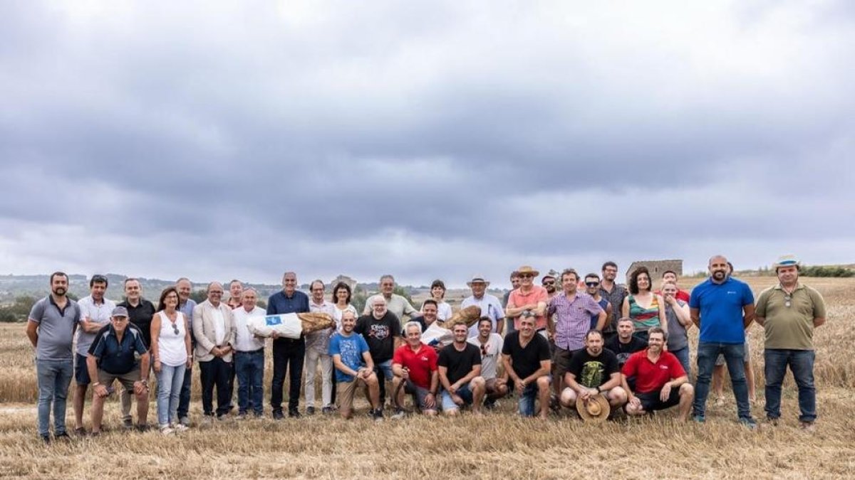 Santa Coloma de Queralt celebra la Sega del Blat de Mestral 2023
