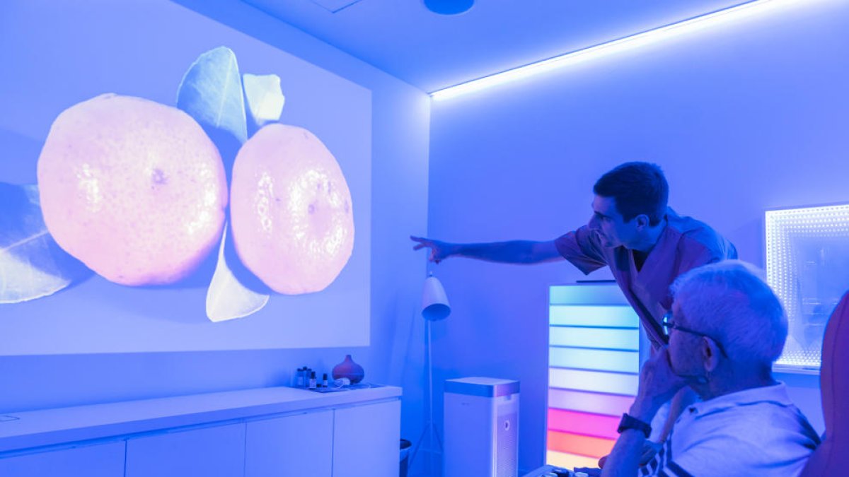 L'ocupació a l'institut Lerin neurocognitive de Reus creix fins al 70%