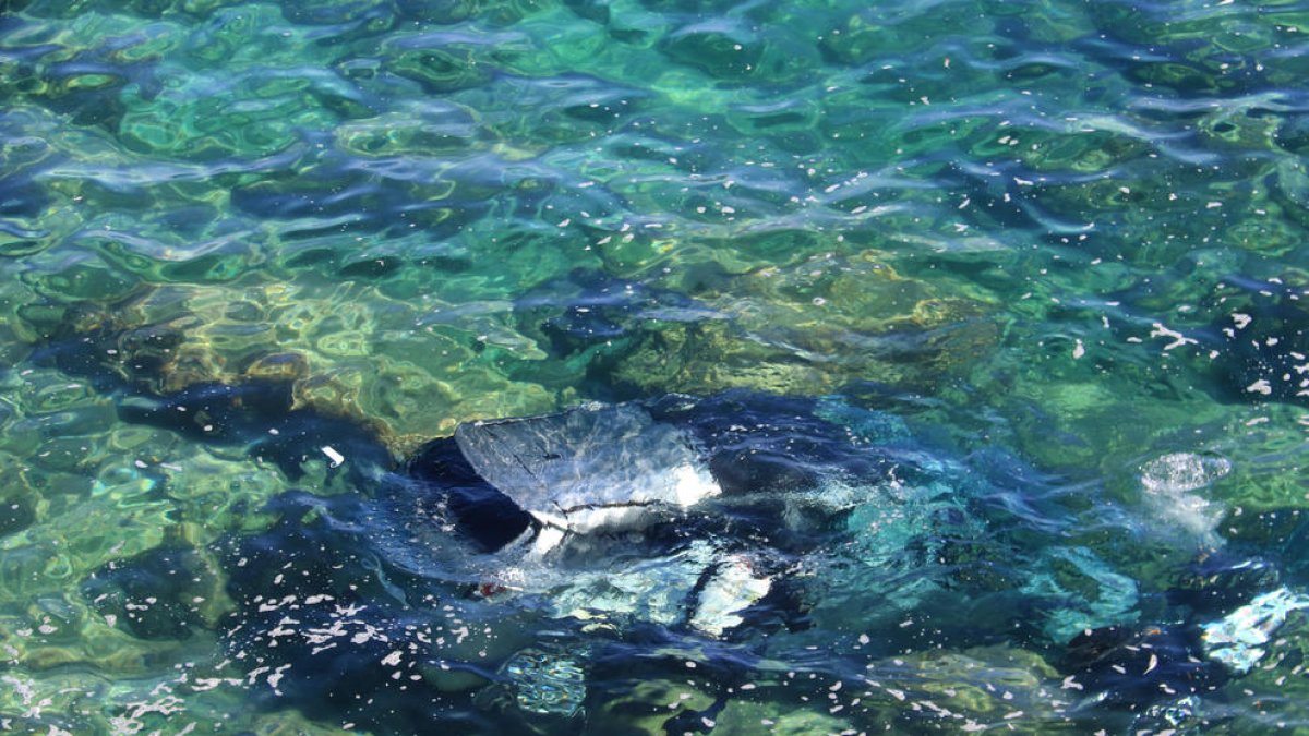 El conductor del vehículo que cayó por un precipicio en l'Ametlla de Mar podría haber sufrido un brote psicótico