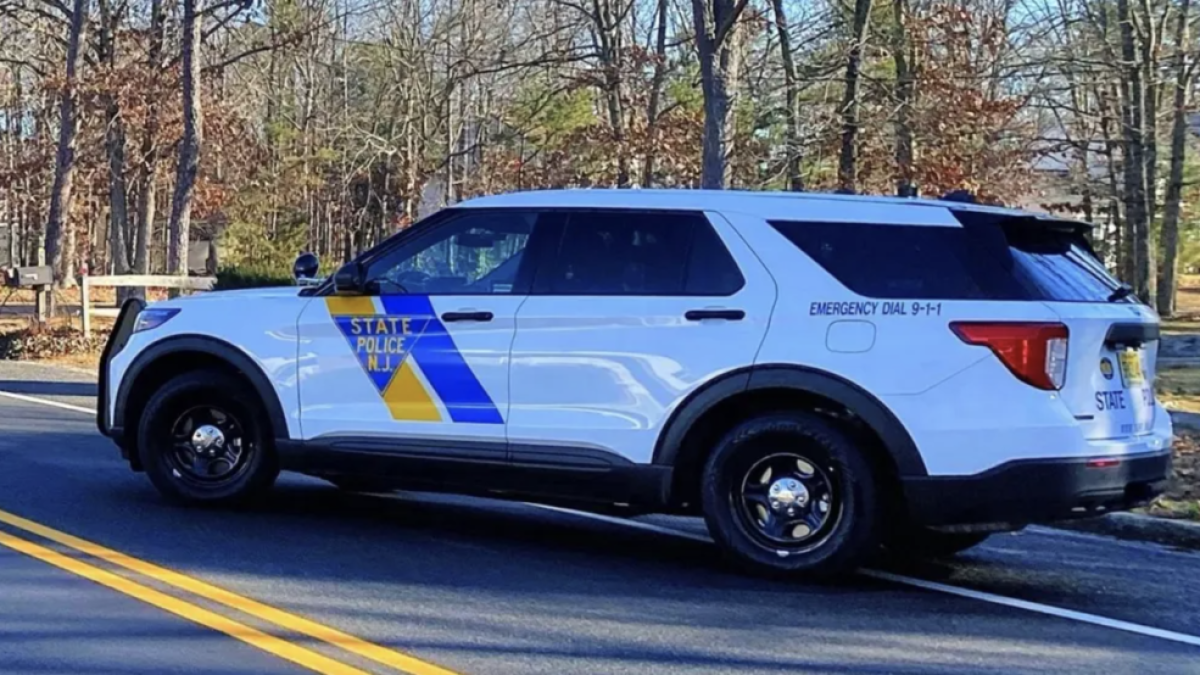 Troben un nen de 9 anys viu entre desenes de gossos morts a Nova Jersey