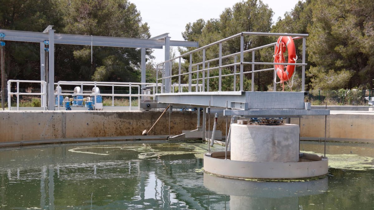 Fertilitzants agrícoles de fangs de depuradores escampen els microplàstics filtrats de l'aigua, segons un estudi