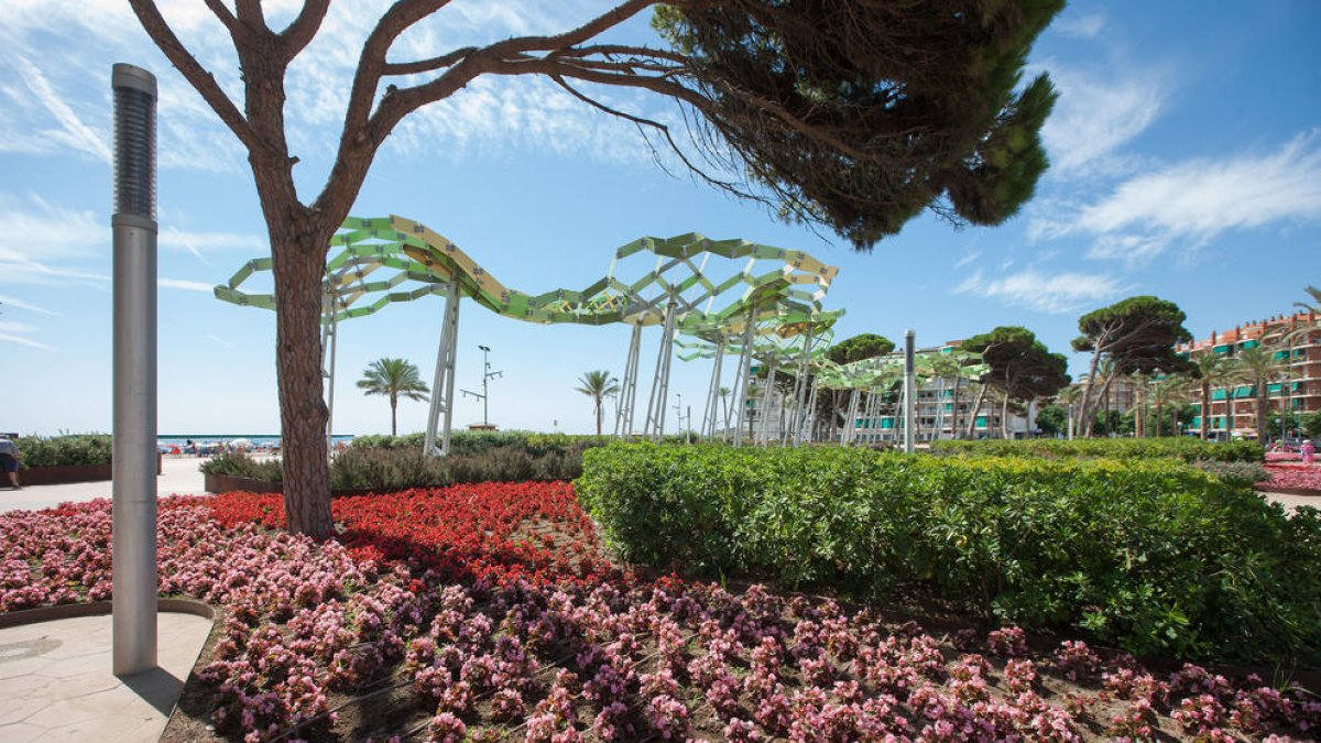 Vila-seca renueva un año más las 4 Flores de Honor en la gala de Villas Floridas