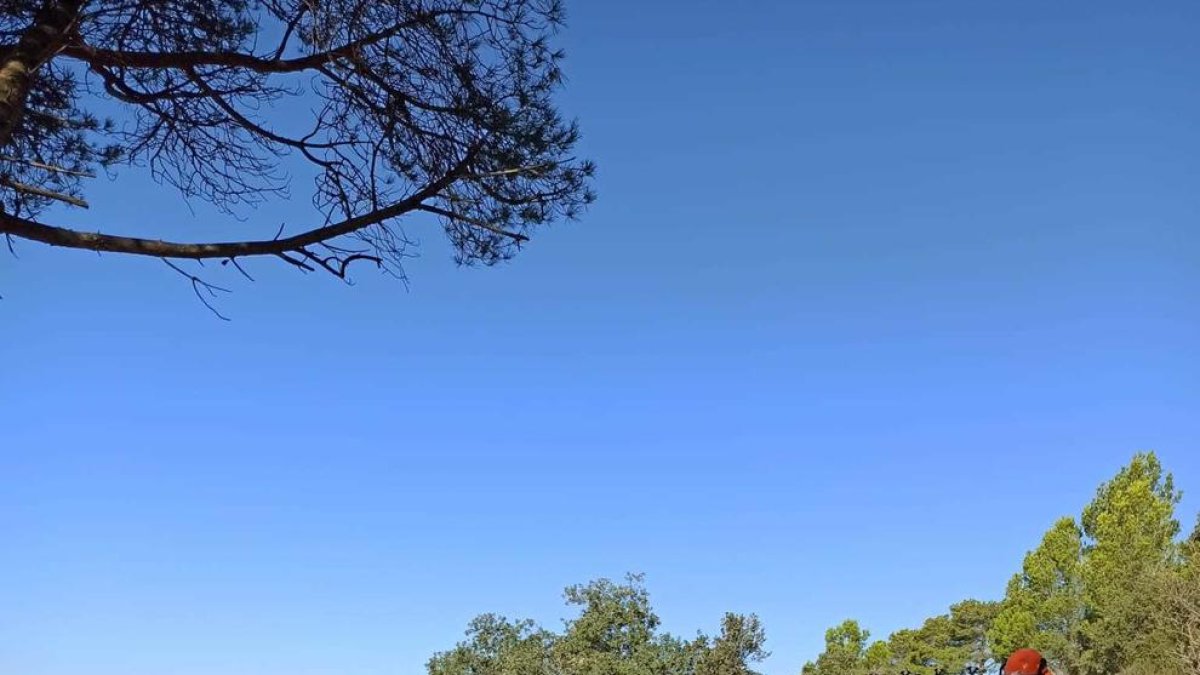 El Ayuntamiento de Almoster trabaja para la prevención local de incendios forestales