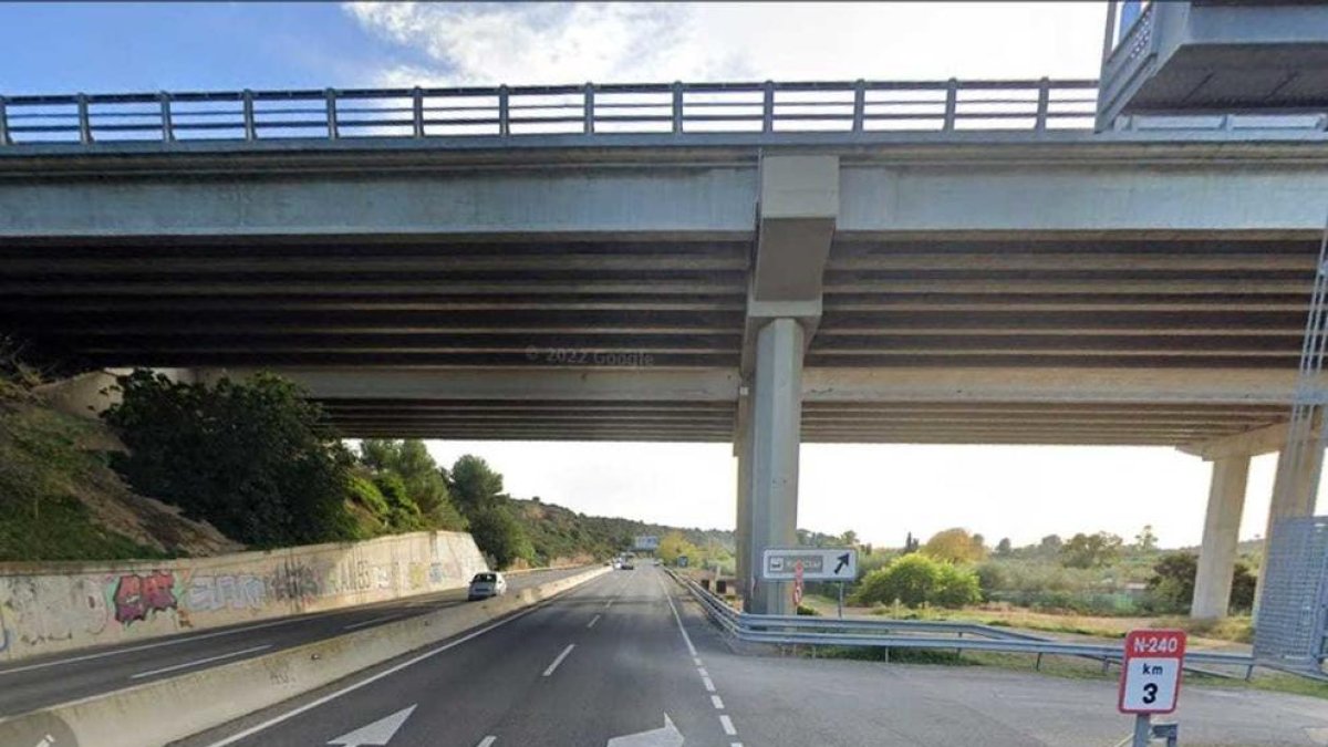 Reclaman luz en una curva de Tarragona para evitar «20 años de accidentes con jabalíes»