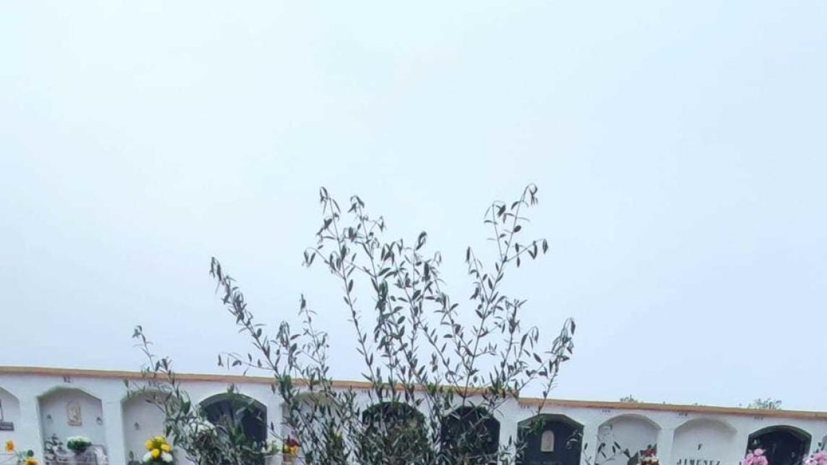 Creixell inaugura un espai en memòria dels infants no nascuts o morts al néixer