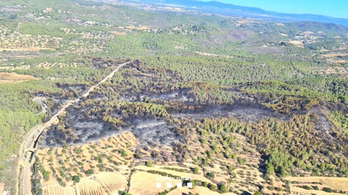 Extinguido el incendio de Vespella de Gaià