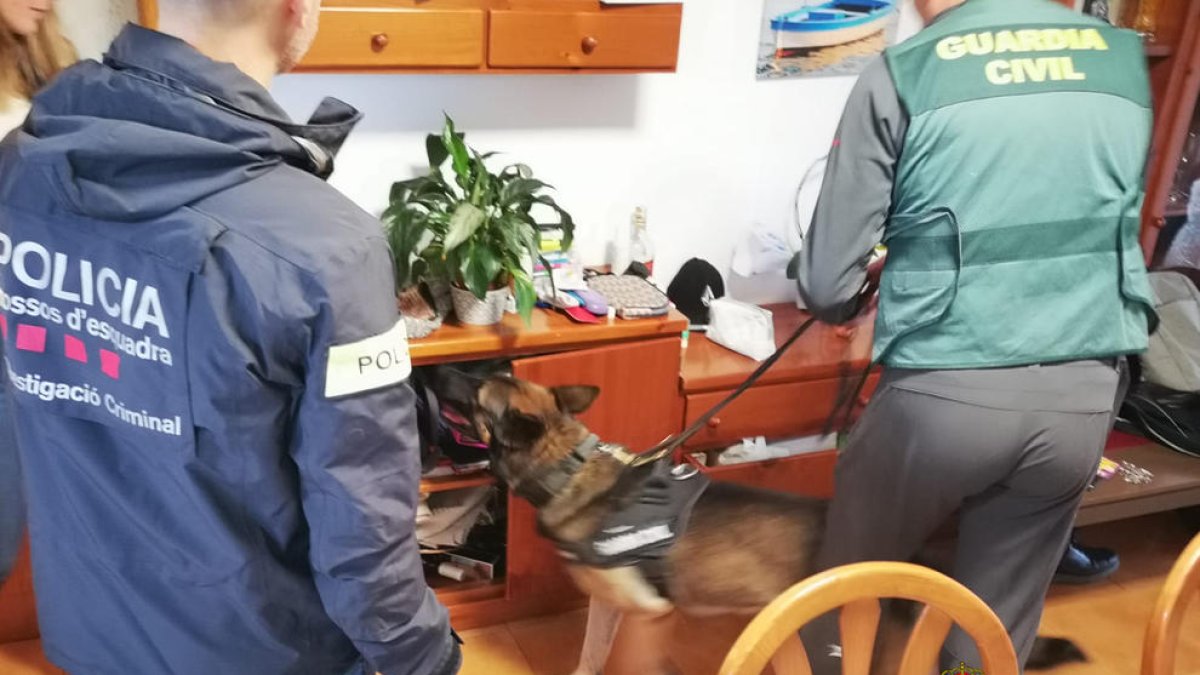 Desmantelan en el Camp de Tarragona un grupo criminal por estafar cerca de 160.000 euros en la compra fraudulenta de móviles