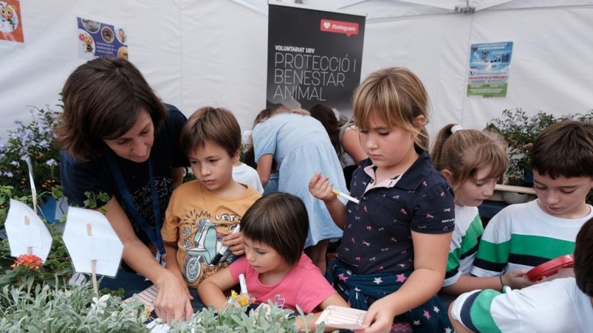 Prop de 300 investigadors de la URV participen en la Nit Europea de la Recerca