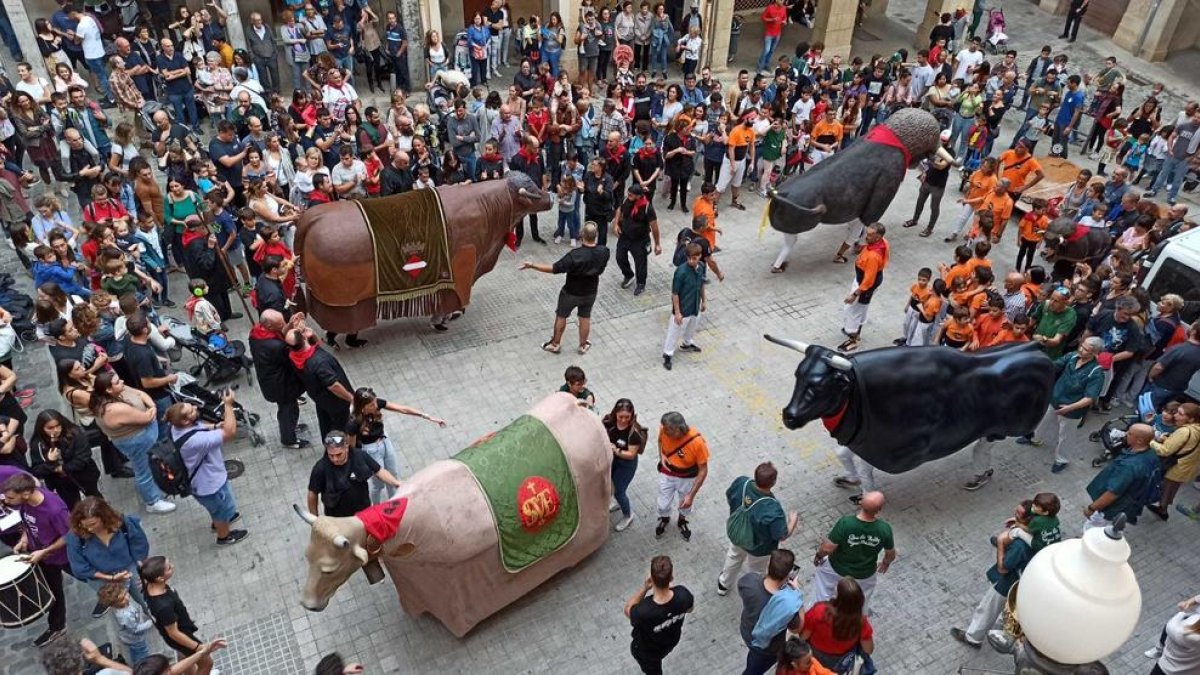 El Bou de Valls organitza l'11è Correbous en el marc de les fires de Santa Úrsula