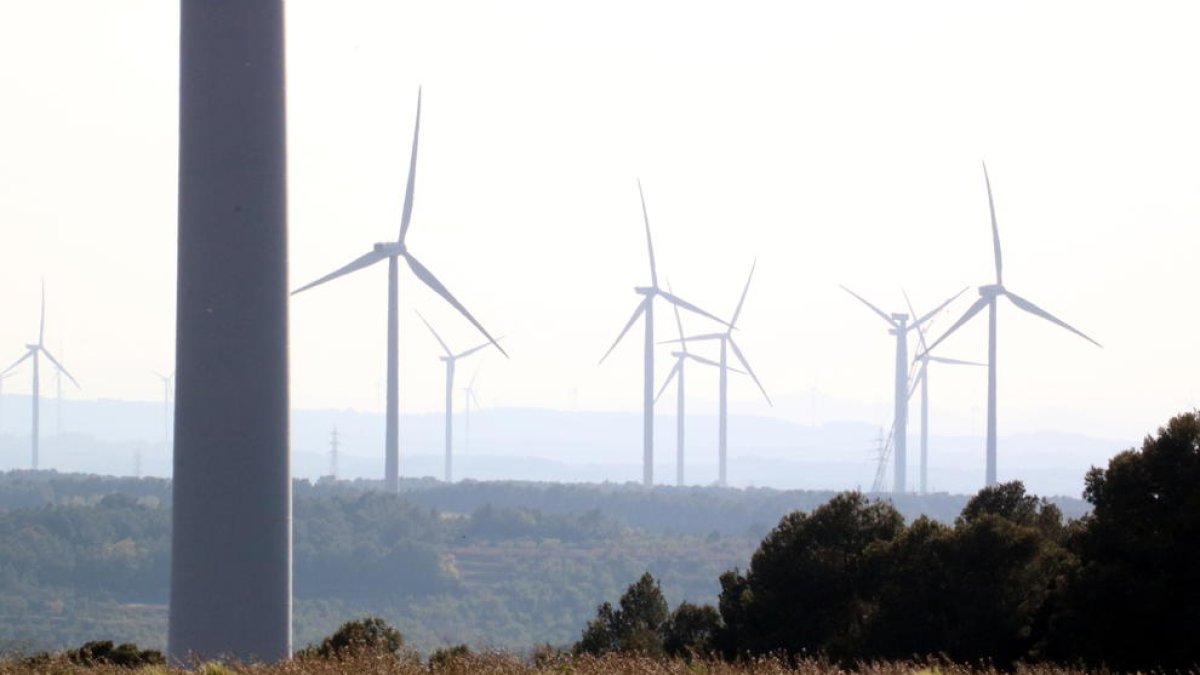 Endesa presenta l'eina perquè veïns i ens públics puguin invertir en nous parcs eòlics que projecta a la Terra Alta