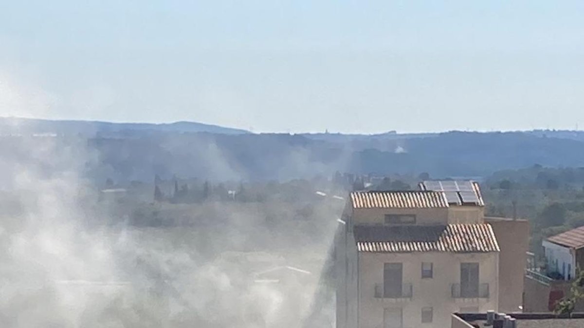 Se produce un incendio de vegetación a pequeña escala en Alcover