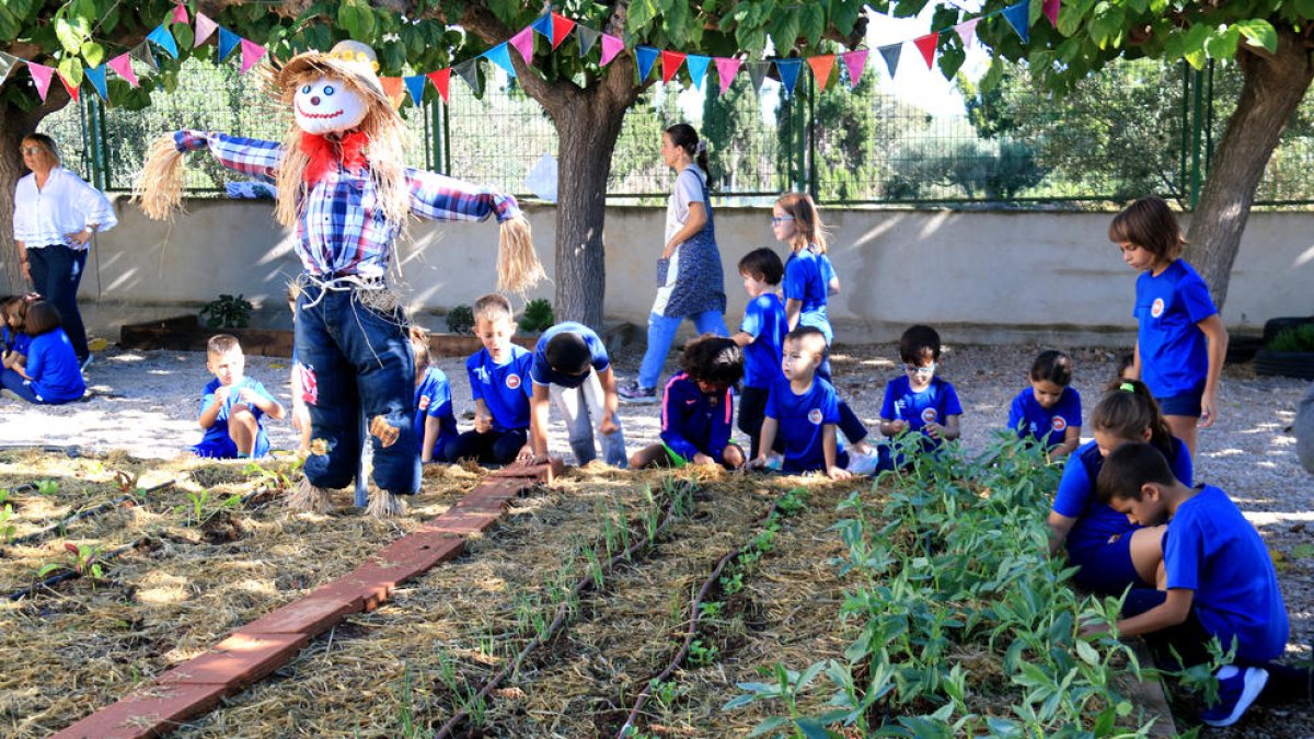 Premian a los alumnos de la Escuela 21 de Abril de l'Aldea por su huerto ecológico