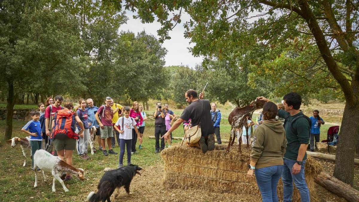 Les montañas de Prades al alcance de todos