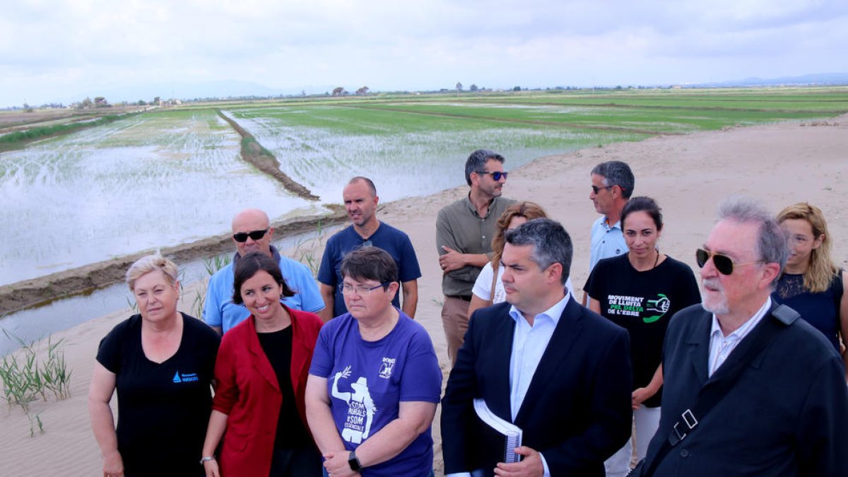 Propietarios del frente litoral del delta del Ebro alegan contra el nuevo apeo que impulsa el Estado