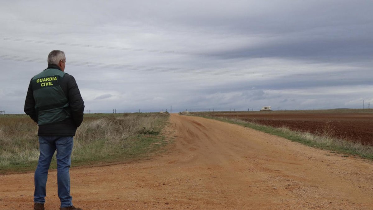 Muere una joven de 27 años después de ser atacada por una canilla de perros en Zamora