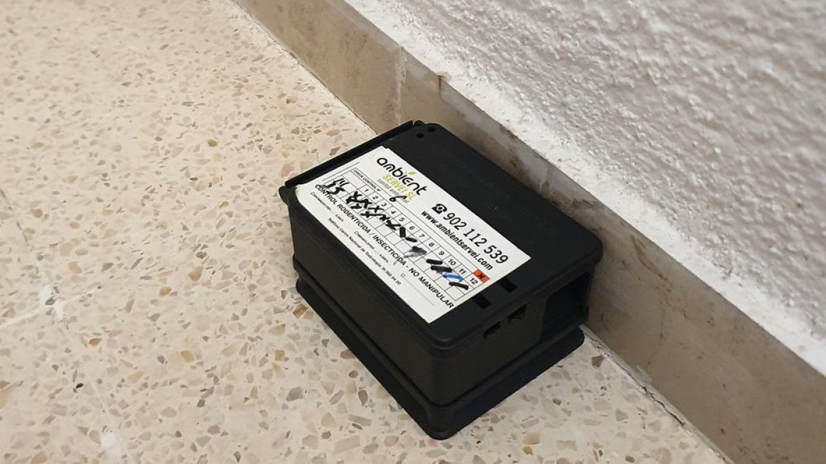 El Ayuntamiento de Cambrils realiza 180 acciones puntuales para el control de cucarachas y ratas