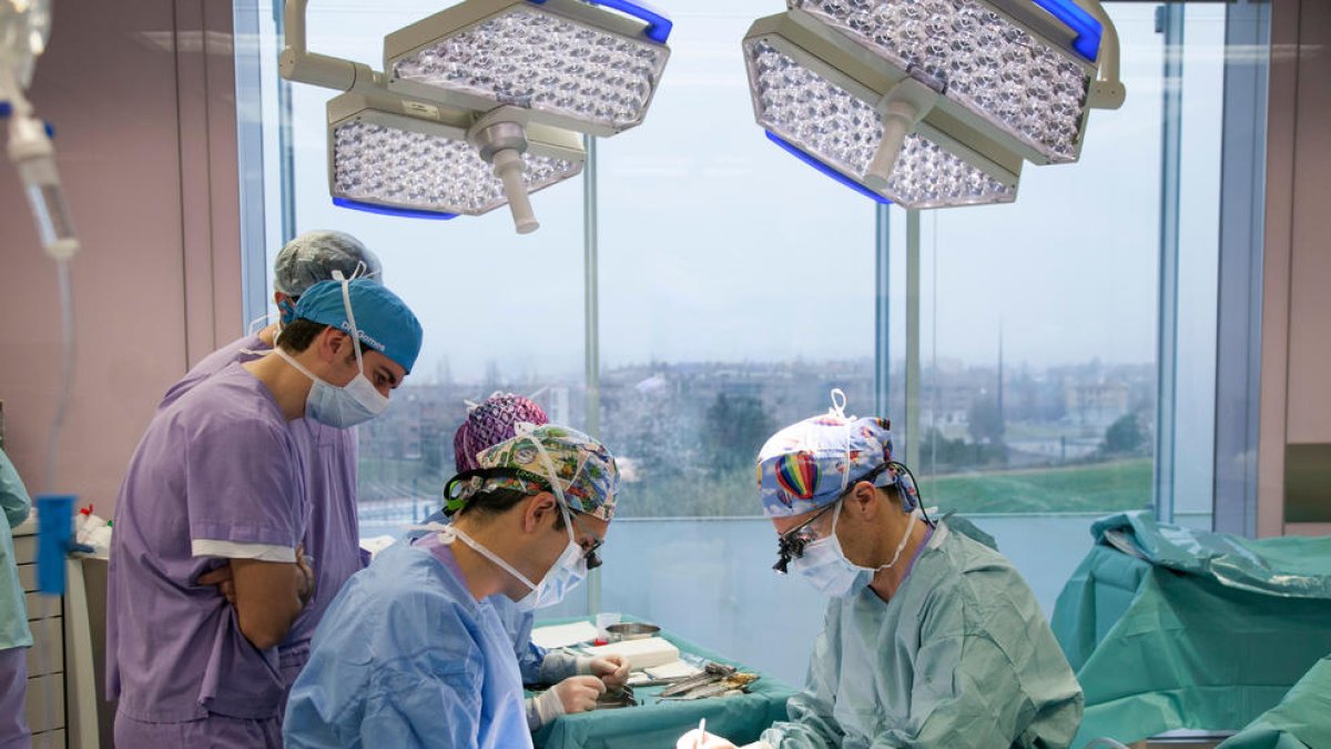 La cirugía genital en hombres trans crece un 10% en los últimos años, según un estudio