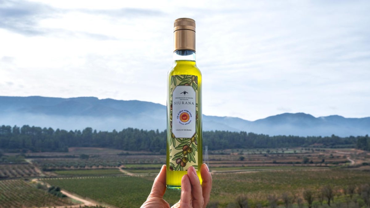 La DOP Siurana presenta l'oli nou a Vimbodí