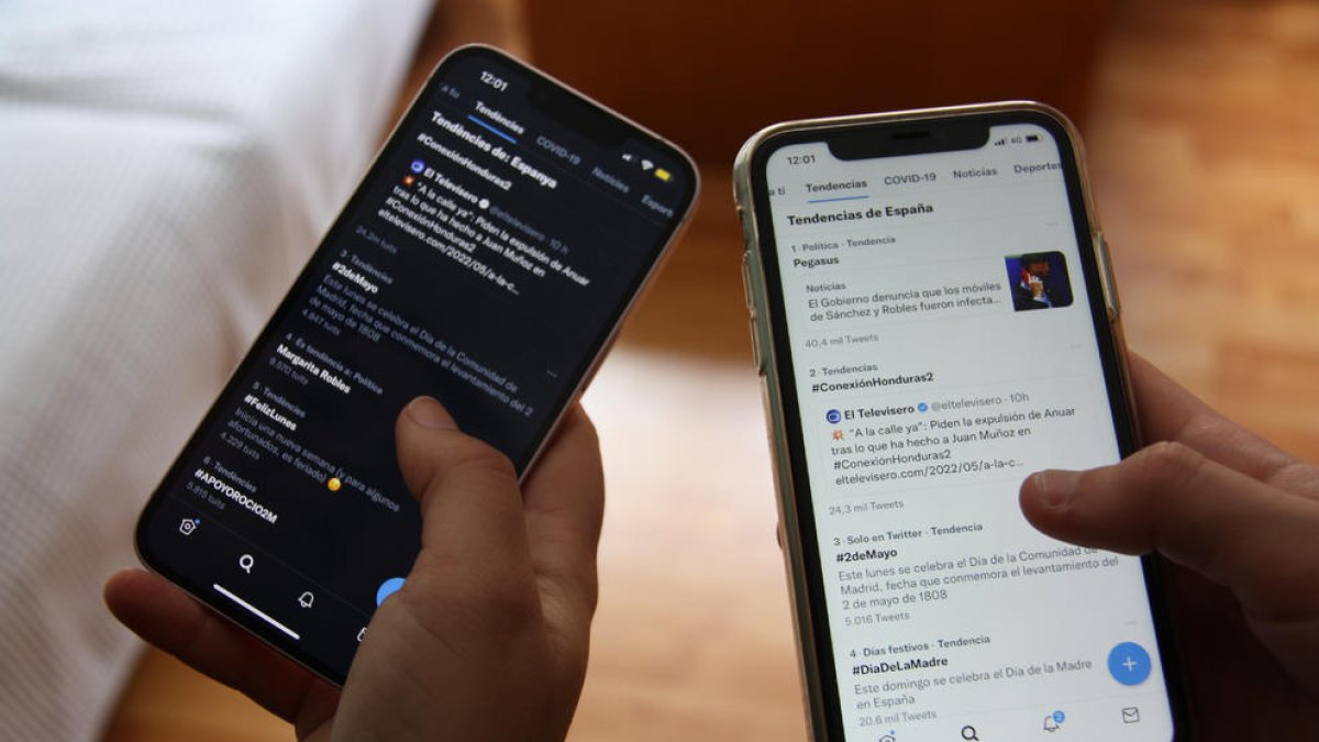 Investigan X, el antiguo Twitter, por permitir publicidad engañosa sobre criptomonedas
