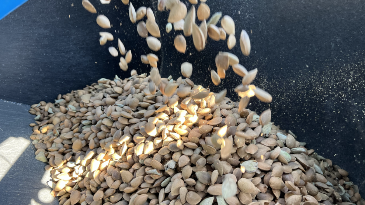 La cooperativa Unió Nuts, amb seu a Reus, podrà exportar ametlla en gra a la Xina