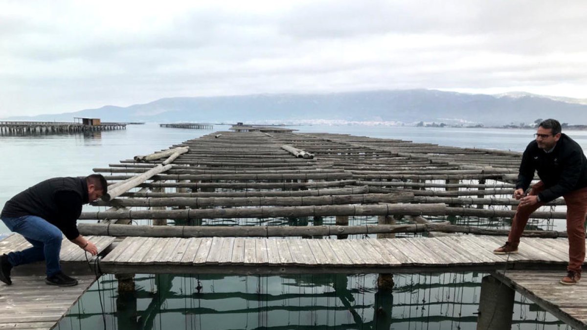 Cultivar macroalgas en las bahías del delta de l'Ebre es viable