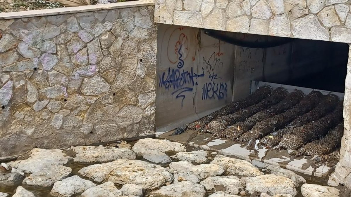 Ematsa impulsa mejoras en el sistema de saneamiento de Tarragona