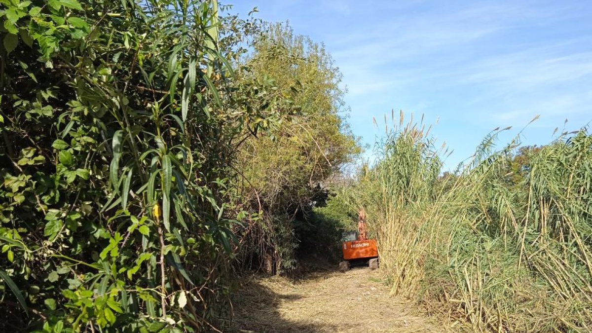 Tarragona realiza trabajos de limpieza y acondicionamiento en la riera de Riu Clar