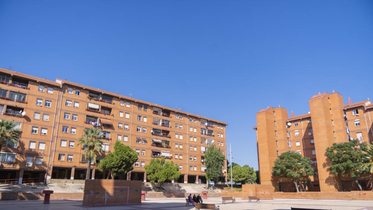 Viñuales afegeix 800.000 euros en inversió per seduir En Comú Podem