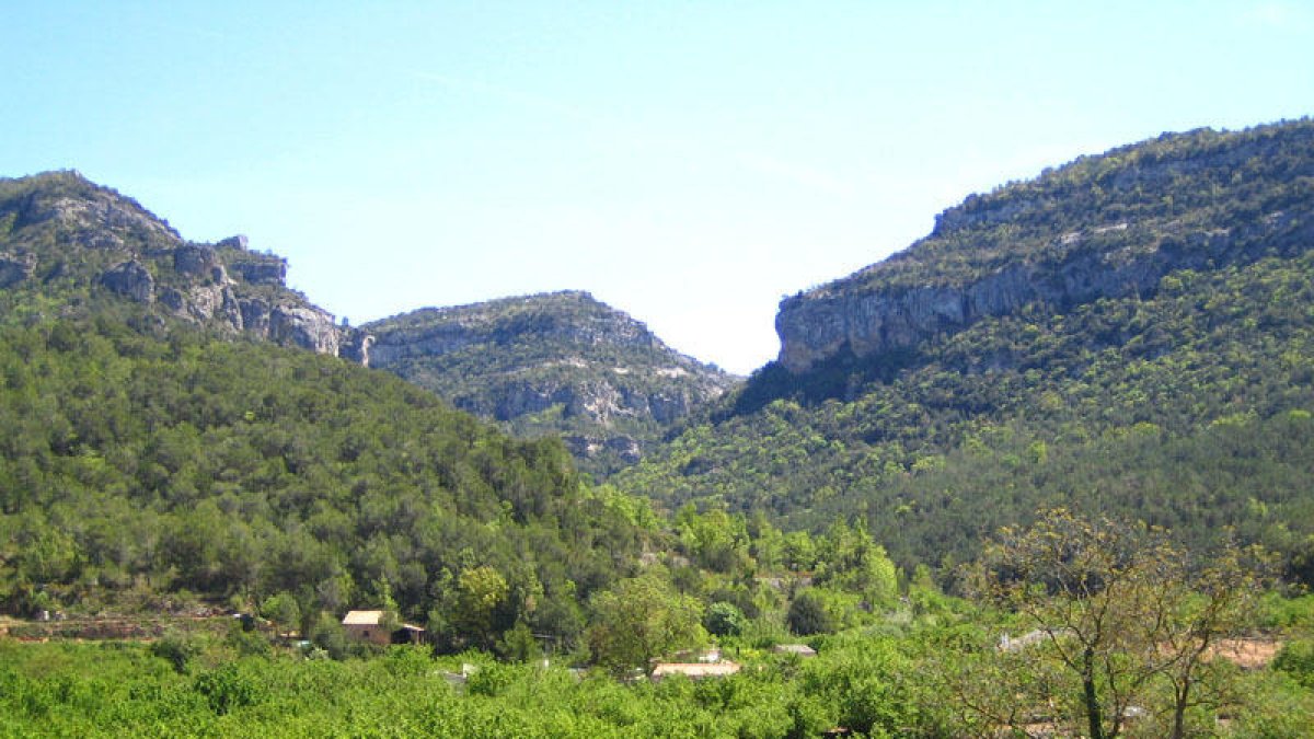 Piden avanzar en la declaración del futuro Parque Natural de Prades para frenar los «macroproyectos» de energías renovables