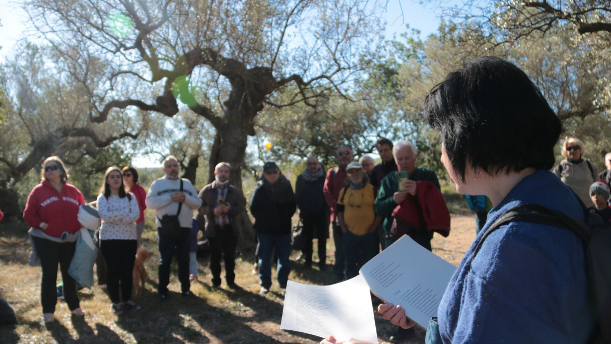 La poeta Conxita Jiménez, durant la lectura d'un dels poemes que s'han recitat a l'olivera mil·lenària del Catxo, en el marc del Festival i Mostra de Cultura Popular Camins dels Càtars.