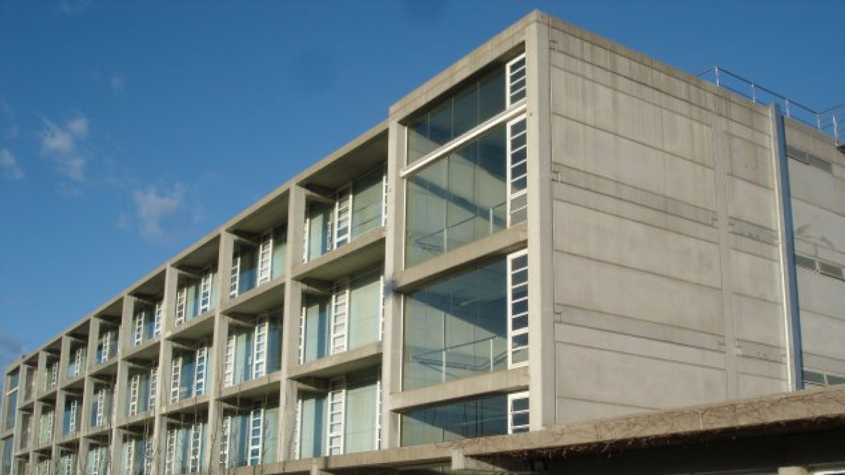 Els treballs tenen un termini d’execució de dos mesos i mig.