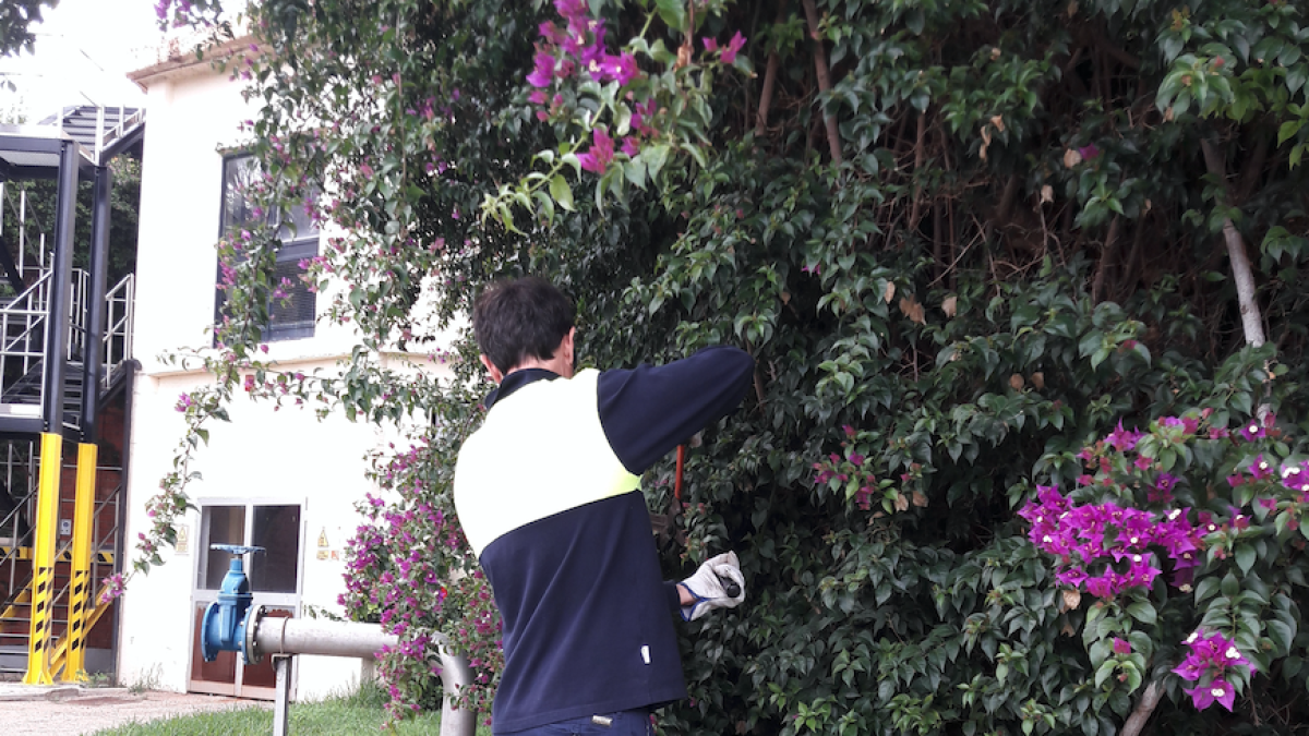 Trabajos de jardinería en instalaciones de Aguas de Reus.
