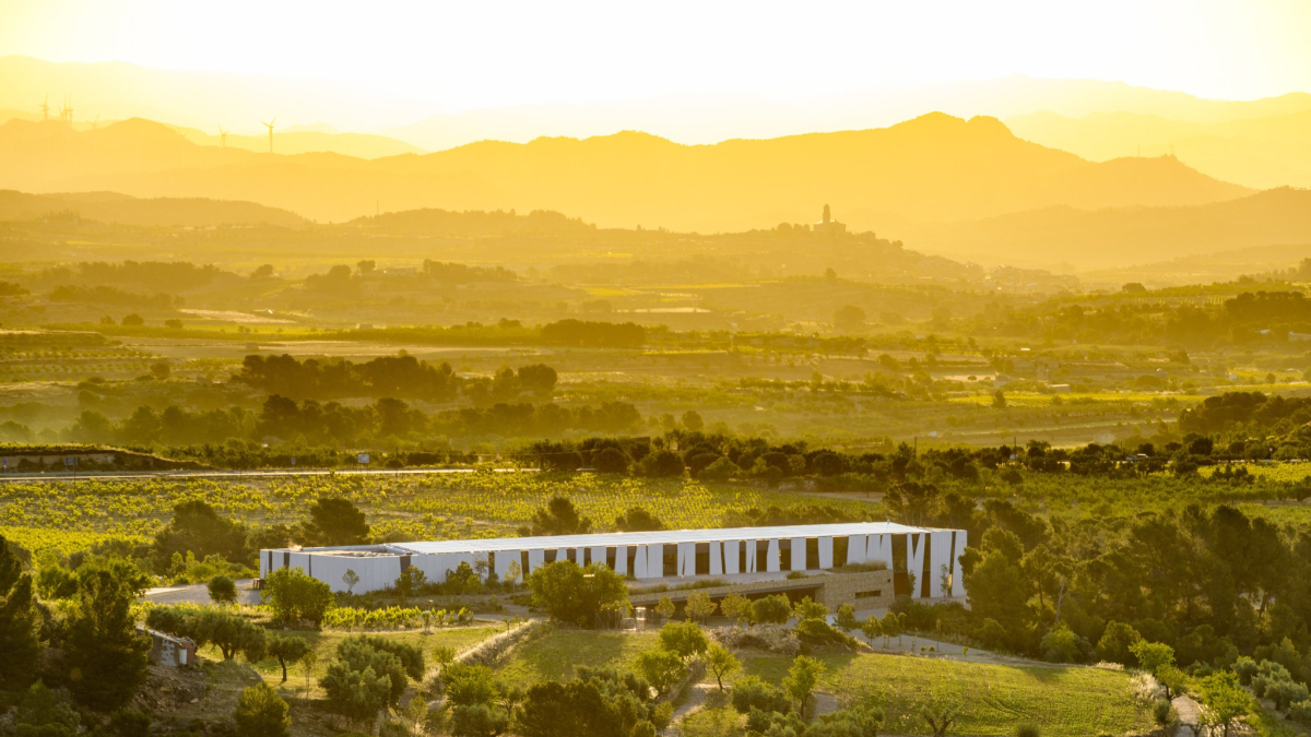 Imatge del celler Herència Altés.