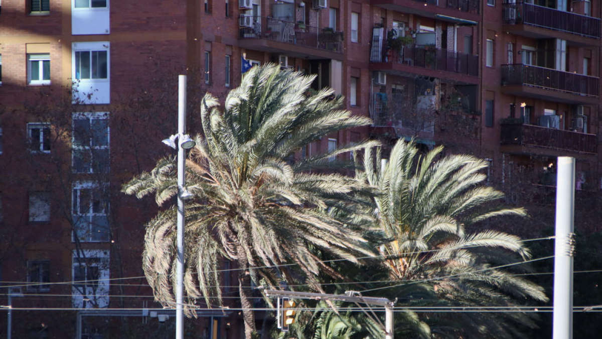 El Meteocat ha activat l’avís groc en diversos punts de la demarcació.