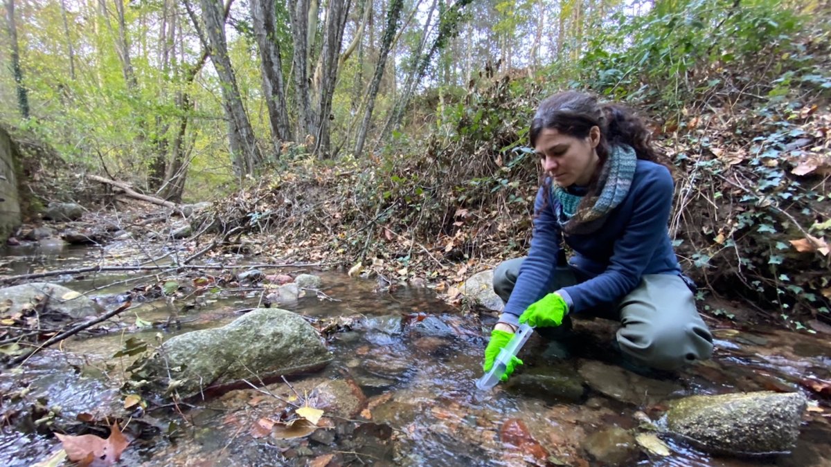Una investigadora del CEAB recoge una muestra de agua de un arroyo para comprobar el nivel de CO2.
