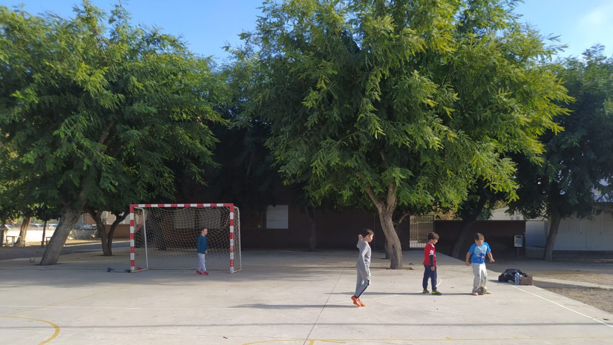 Fotografías de los Patios Abiertos de estas últimas semanas.